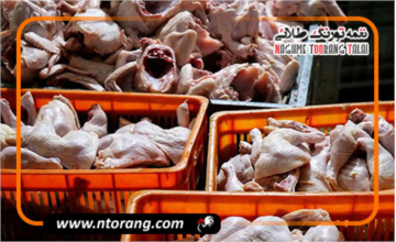 قیمت جدید و مصوب مرغ به ۲۷۸ هزار تومان رسید